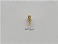 藏品(尺蠖蛾科)的圖片